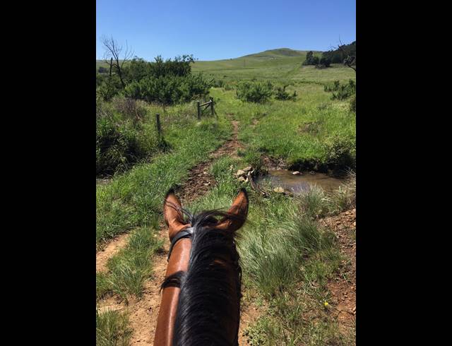 80HA FARM FOR SALE IN DARGLE